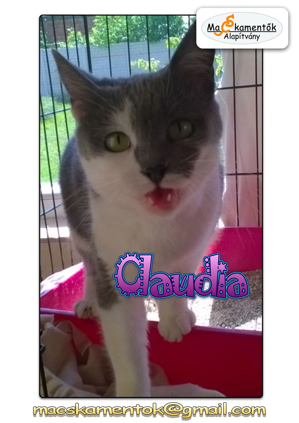 Claudia gk_1.jpg