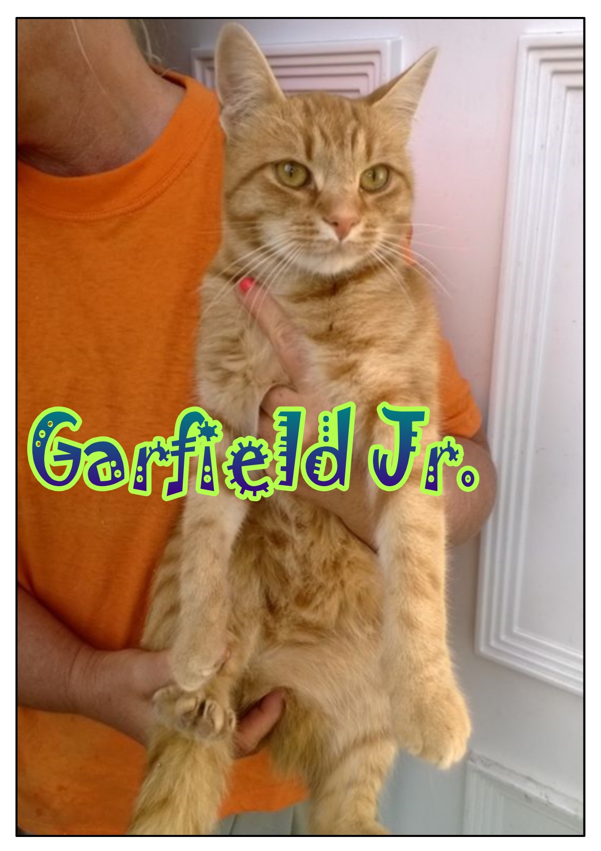 Garfield Jr_1.jpg