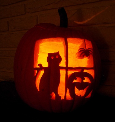 Pumpkin_Cat2.jpg