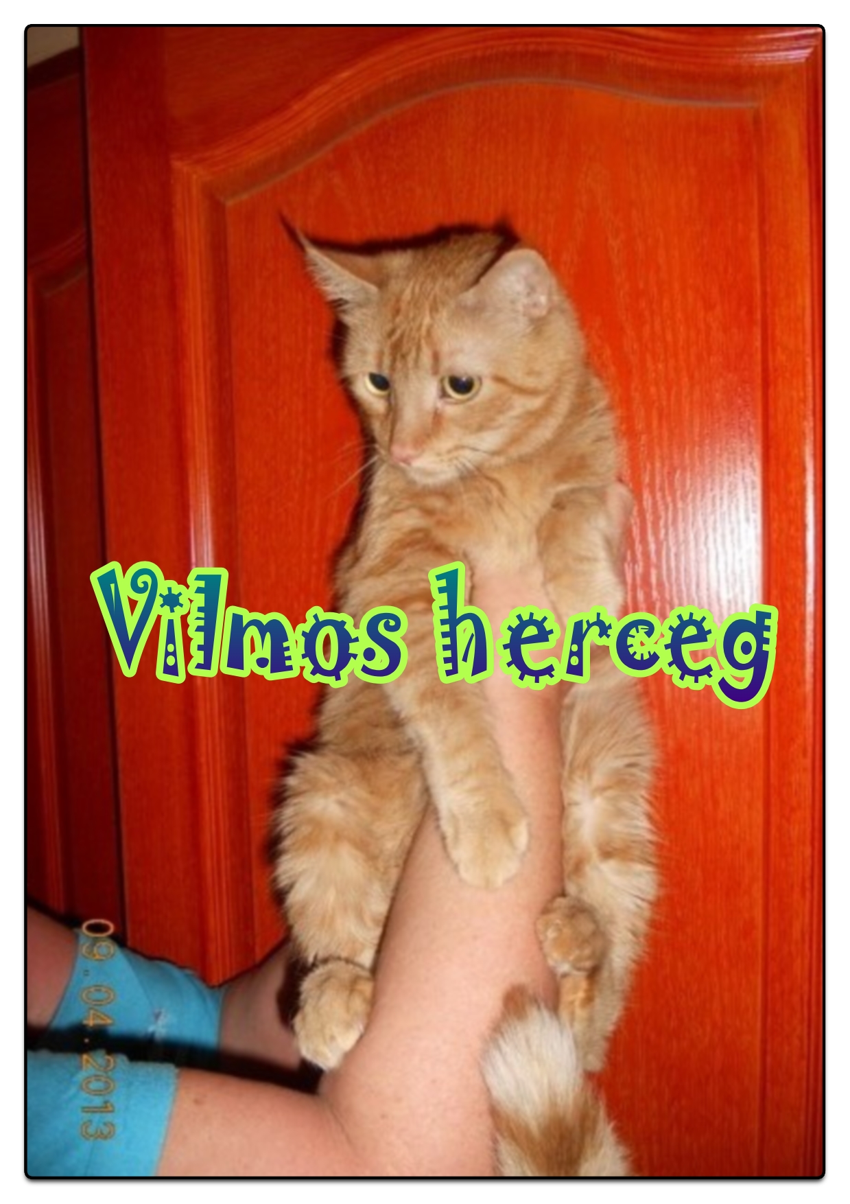 Vilmos herceg_1.jpg