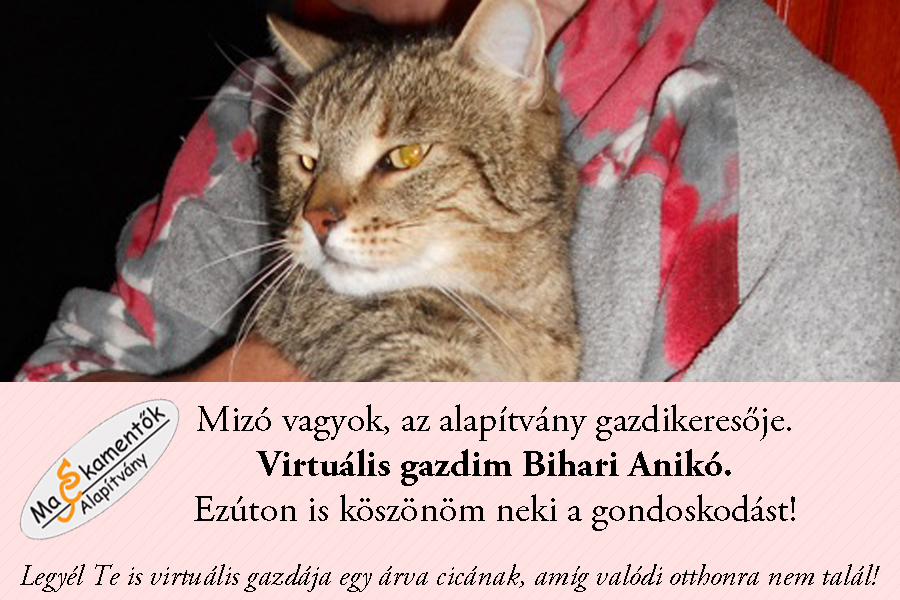 Virtuális gazda Mizó_k.jpg