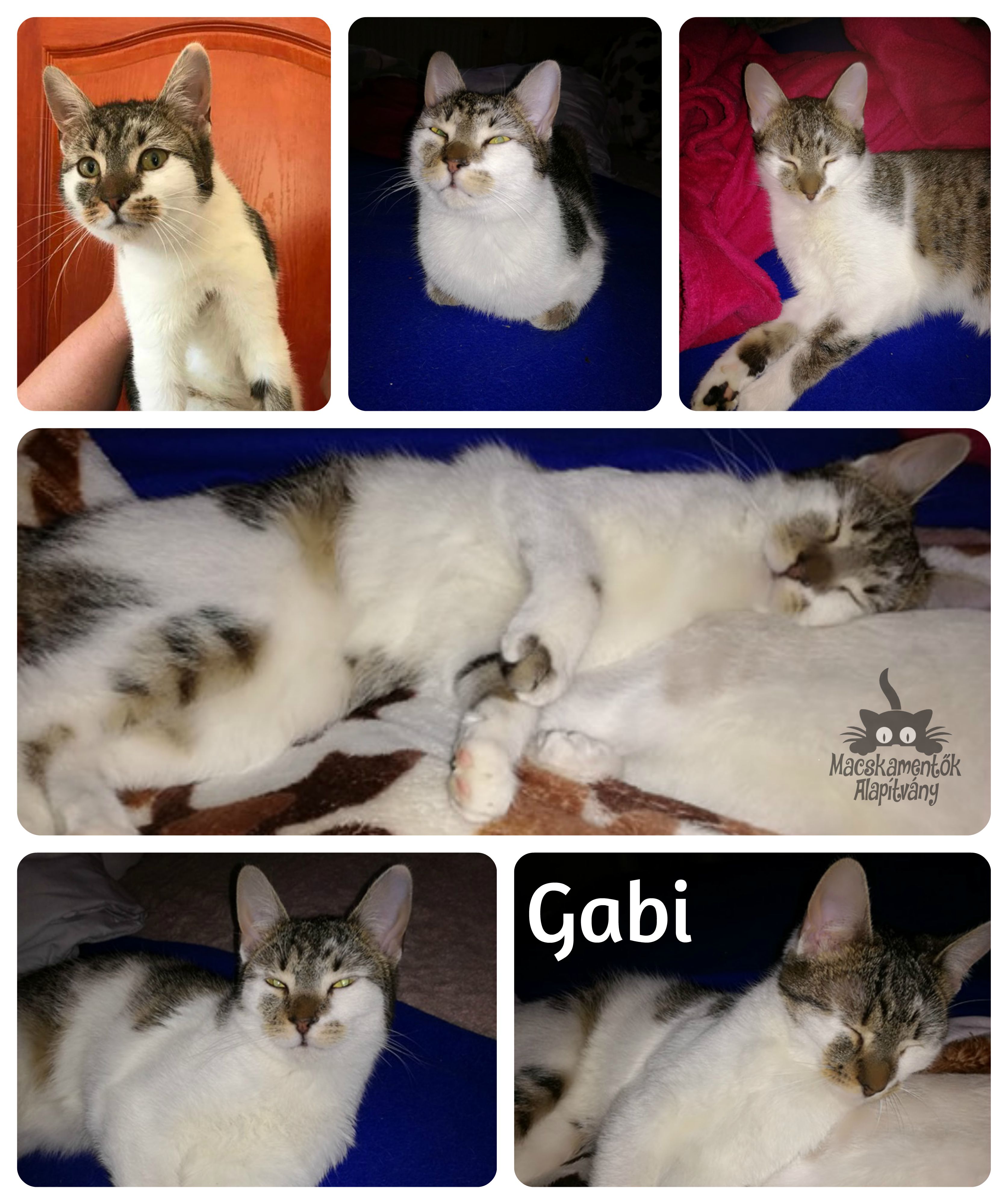 gabi0306_bf.jpg