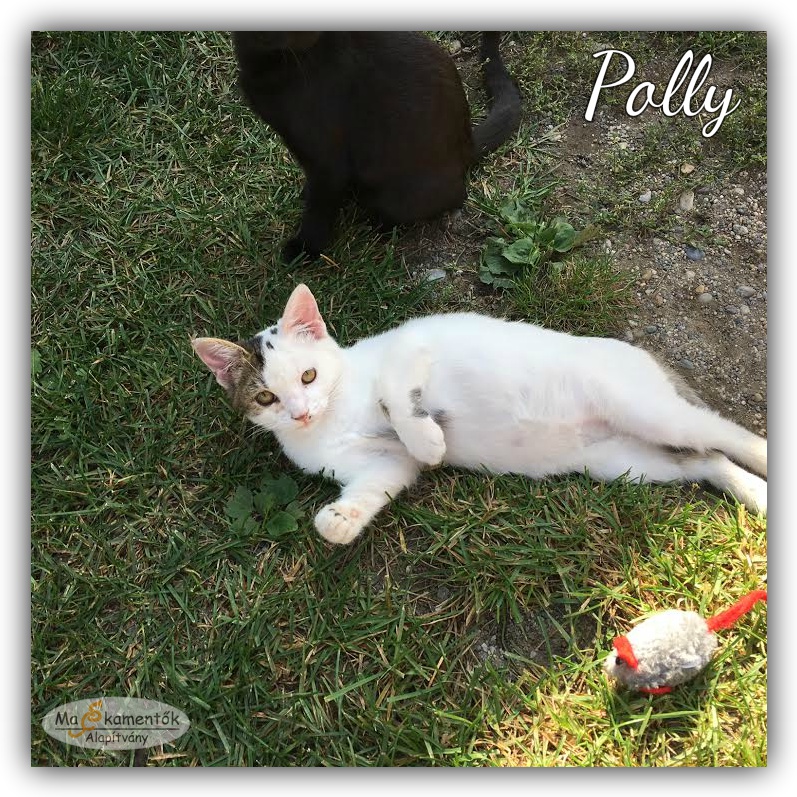 polly0929_bf.jpg