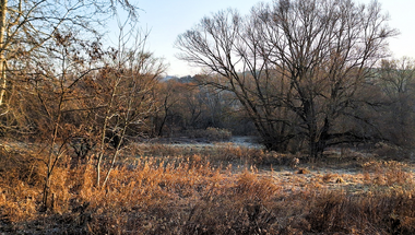 Frosty February Morning