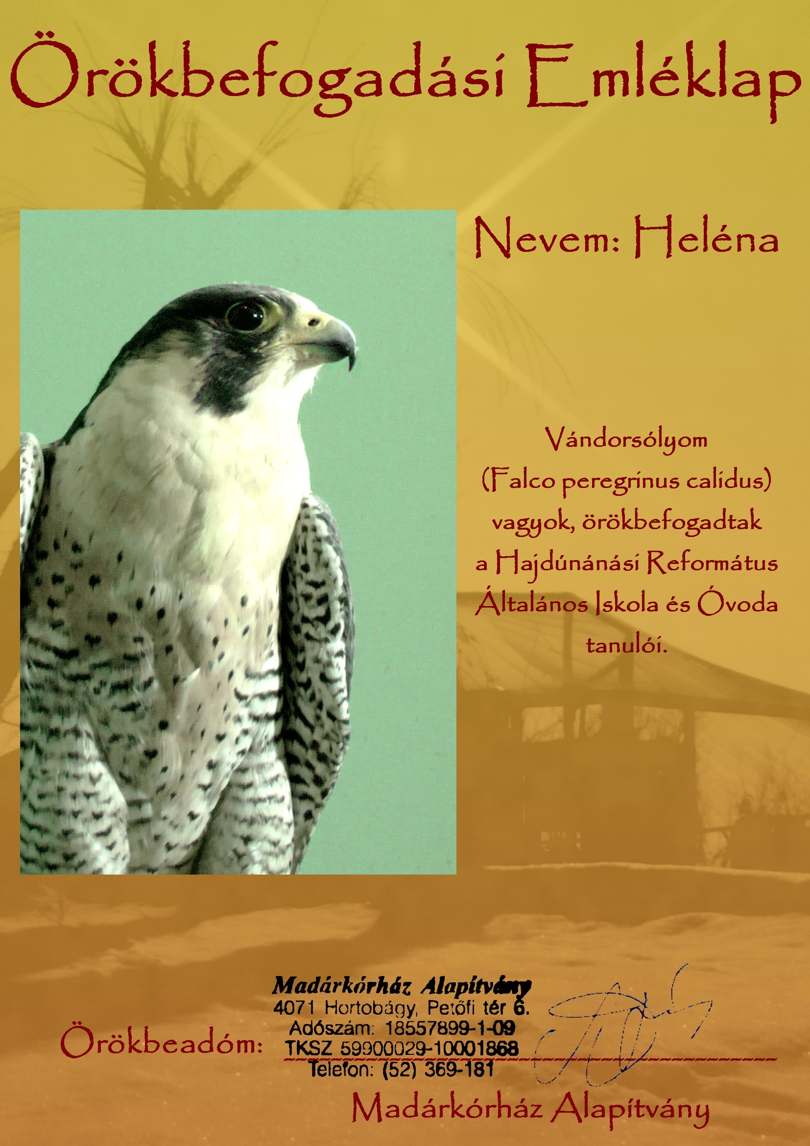 Heléna.jpg