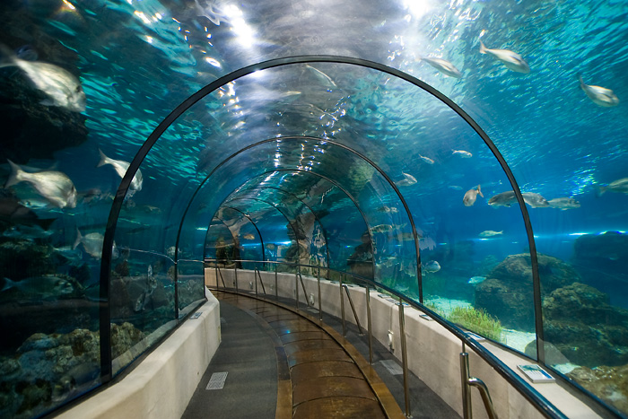 Barcelona-Aquarium.jpg