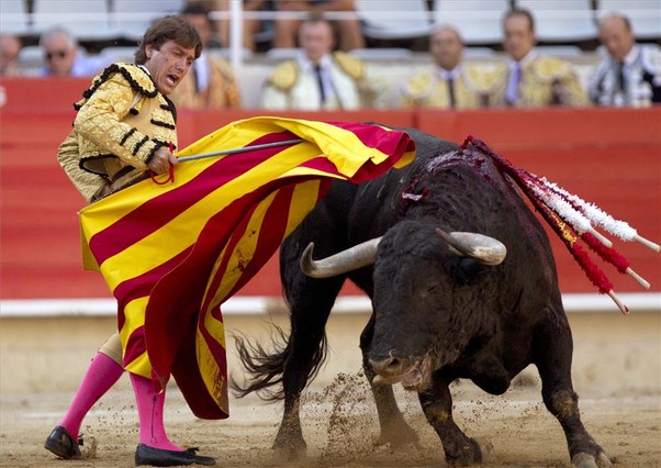 Torero-con-la-senyera.jpg