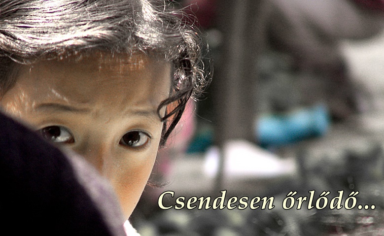 csendesen_orlodo.jpg