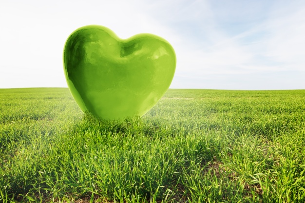 large-green-heart-in-a-field_1160-705.jpg