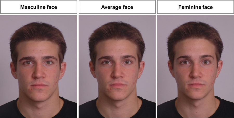 FaceResearch-attractiveness-male-face-900x453.png