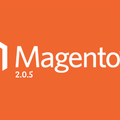 Magento 2.0.5