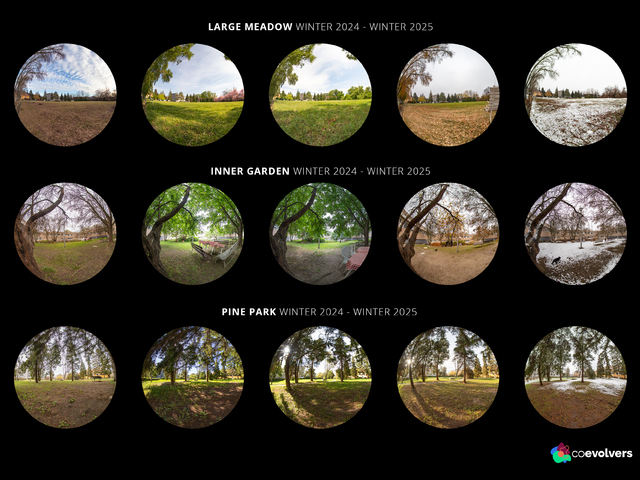 Gyógyító kert tervezése egy magyarországi pszichiátriai kórházban 2. rész