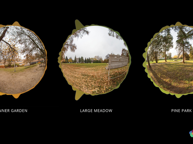 Gyógyító kert tervezése egy magyarországi pszichiátriai kórházban 1. rész