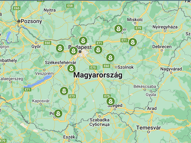 Bemutatkozik a Magház