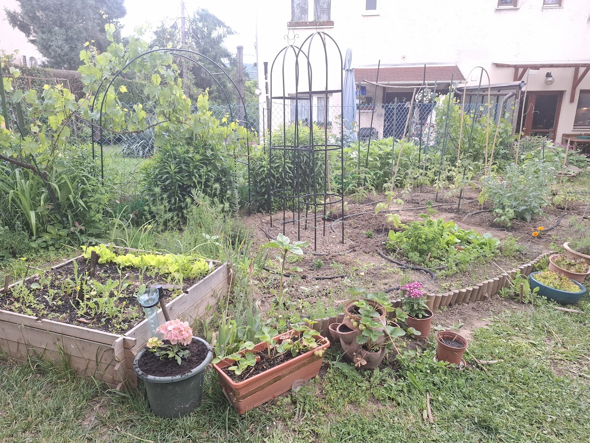20250518_184506.jpg