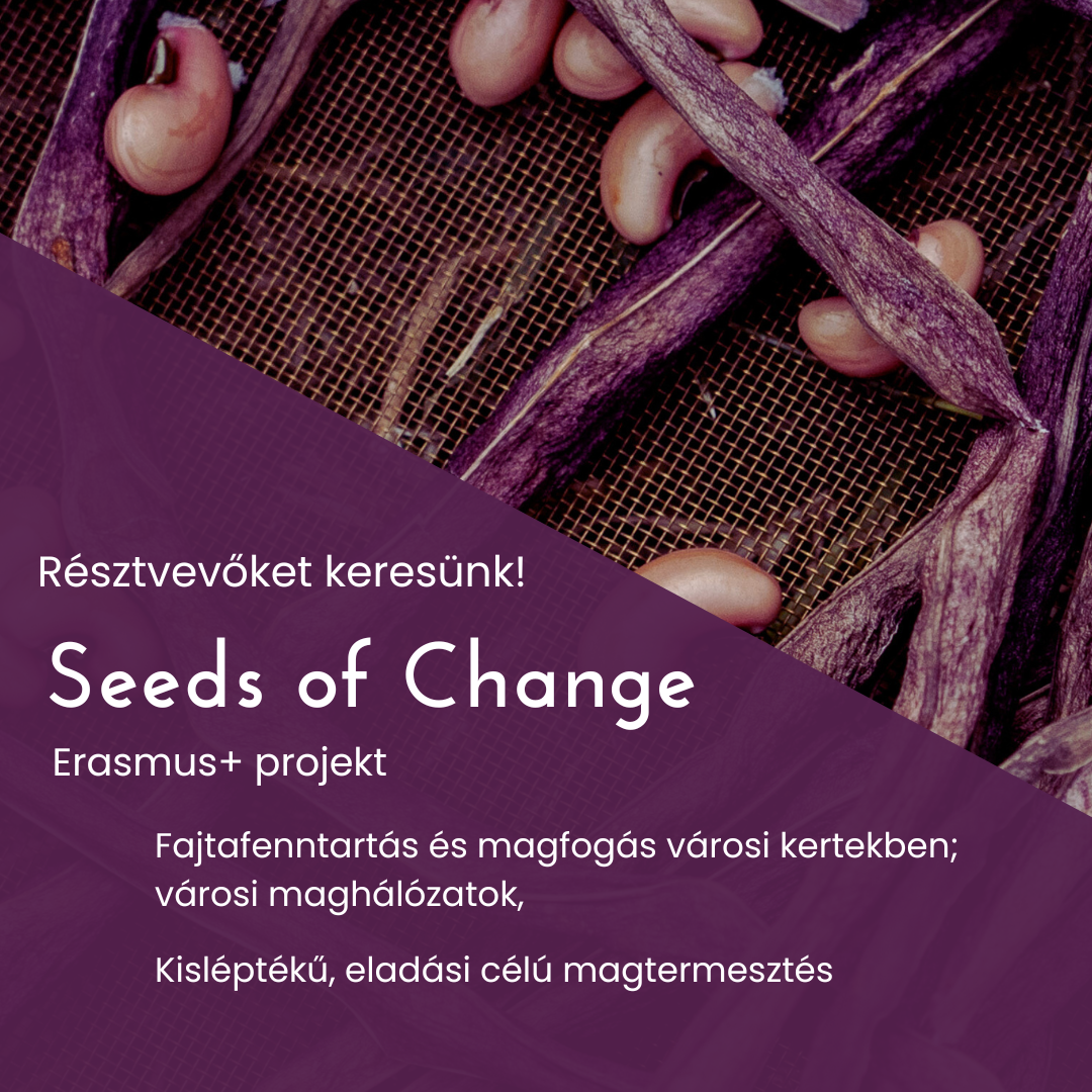 kek_bezs_egyszeru_foto_kave_idezet_instagram_poszt_1.png