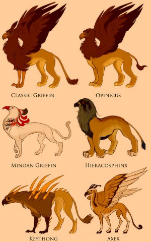 bird_gryphon_types_by_ayem_7733.jpg