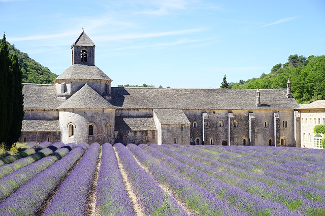 abbaye-de-senanque-1595627_640.jpg