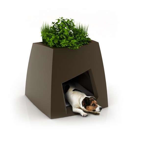 pet-house-planters.jpeg