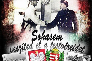 Lengyel (szarmata szkíta) és Magyar (királyi szkíta) barátság