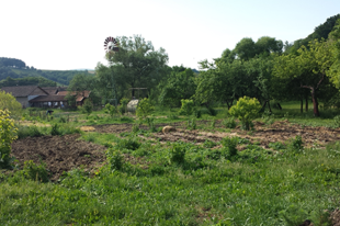 Gyulai Iván ökológus: Kapálás és ásás nélküli kertészet mélymulcsozással