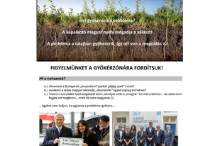 "Ha az okot megfejted, a megoldást megleled"