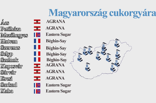 MAGYARORSZÁG KIFOSZTÁSA, 1990-es évek  (Tényfeltáró video riportok)