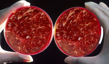 mesterséges hús.jpg
