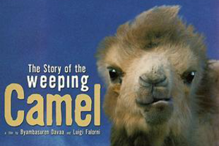The Story of the Weeping Camel (2004)