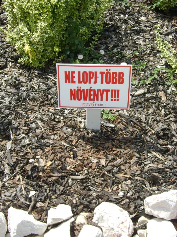 ne_lopj_tobb_novenyt_1.jpg