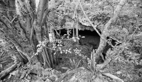 cenote_sanantoniodemulix_mexico_ff_457363.jpg