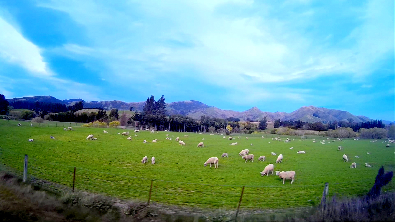 teljes_kepernyo_rogzitese_2015_10_08_10122_bmp_2.jpg