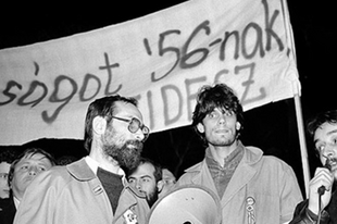 RENDSZERVÁLTÁST! Bármi áron, mindenáron...