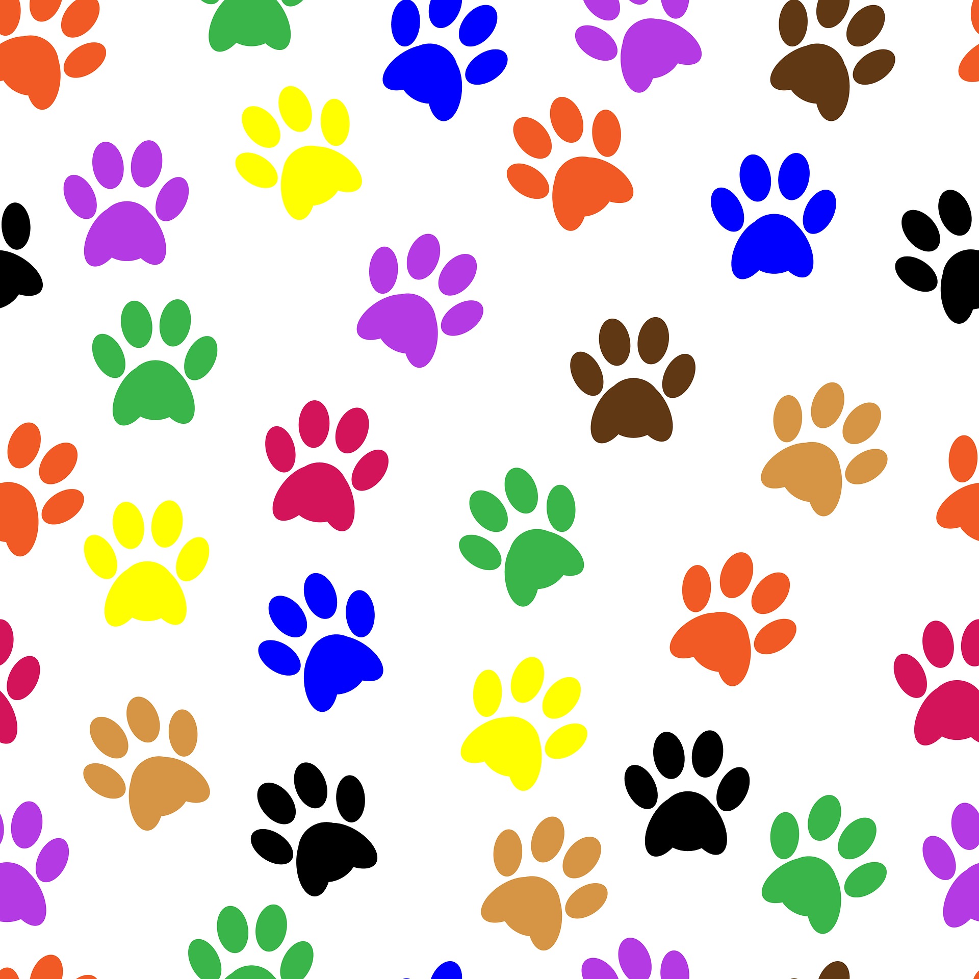 pawprints-2919733_1920.jpg