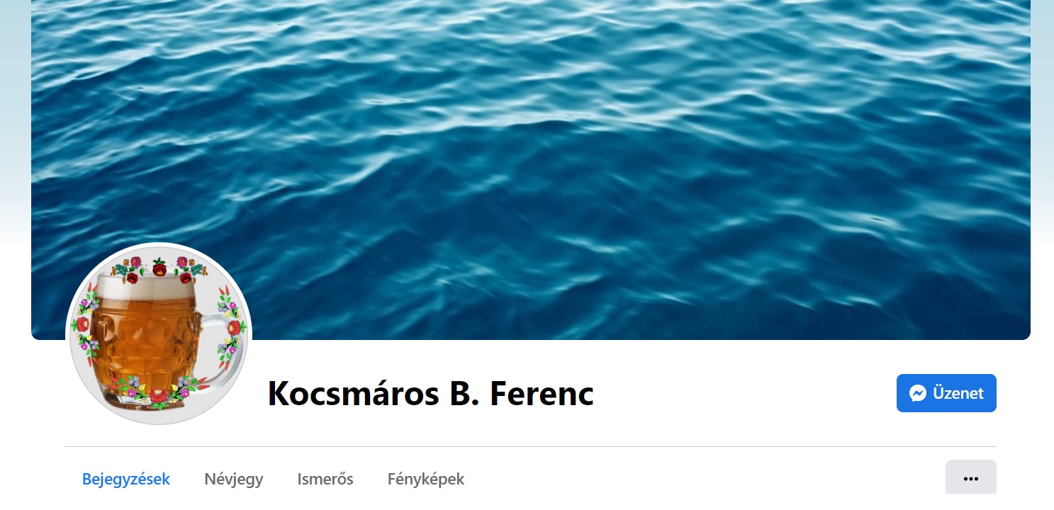 Ez a legérdekesebb profil. Kihelyezésnél némi hiba csúszott a gépezetbe, ugyanis az URL árulkodó: ferenc.kirakott<br />