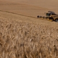Magyarország nyertese kíván lenni az új Közös Agrárpolitikának