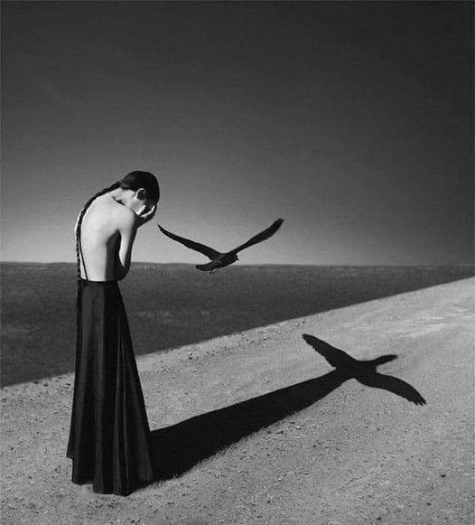 by_noell_s_oszvald.jpg