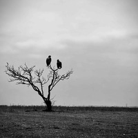 Magyar kiemeltek az iPhone Photography Awards 2025 pályázatán