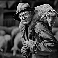 6 fotósorozat a Magyar Fotográfia Napján