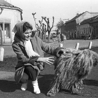 Magyarország 1964-ben - 30 fotó a Fortepan gyűjteményéből