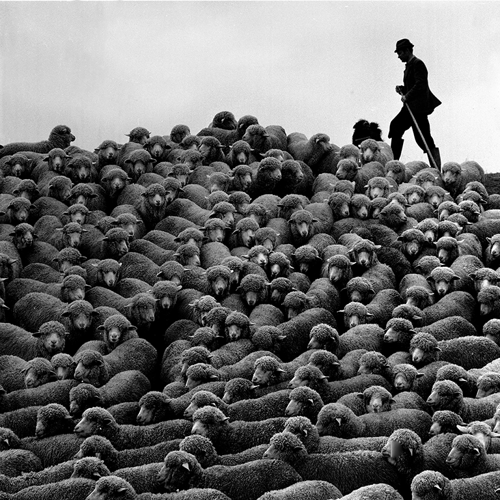 A tánc, a női szépség, az akt és a mozgás megörökítésének mestere. Válogatás Eifert János Visszapillantás című kiállításának képeiből.