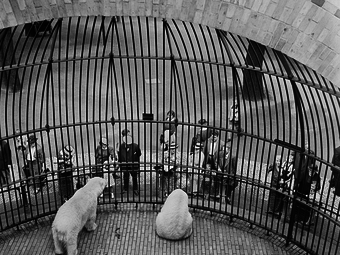 Portfólió - Roman Vishniac (1897-1990)