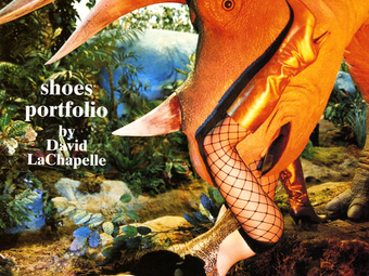 Portfólió – David LaChapelle (1963)