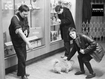 A HÉT FOTÓSA - Ian Berry: Drogfüggők Londonban, 1966 (18+)
