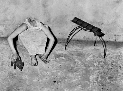 Sötét képek Roger Ballen nyomasztó világából (2000-2015)