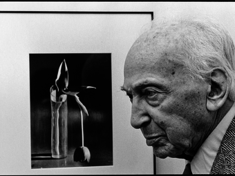 Fotós idézet - André Kertész (1894-1985)