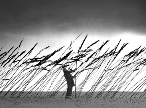 Elhunyt Gilbert Garcin, a humoros képek mestere