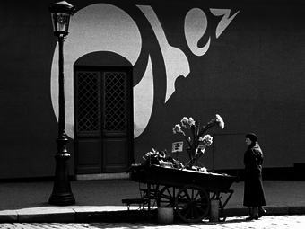 A HÉT FOTÓSA: Fred Stein, az utcai fényképezés legendás alakja
