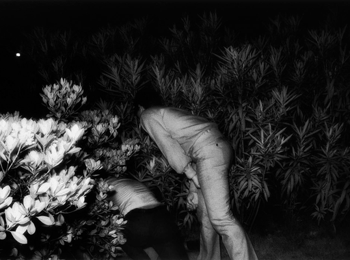 Kohei Yoshiyuki: A park (18+)
