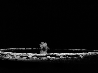 75 éve született Sebastião Salgado, korunk egyik leghíresebb fotográfusa